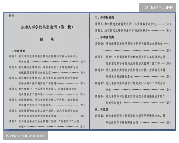 德甲转会合同细节曝光：关键条款与薪资结构引关注